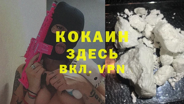 тгк Алексин